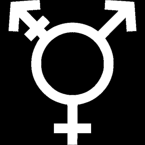 Trannycam Info
